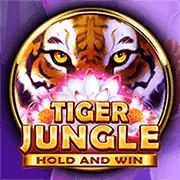 Tổng quan về nền tảng cá cược bet88247 win tại Việt Nam