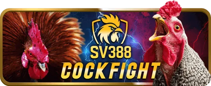 Quy trình đặt cược đá gà tại bet88247 win