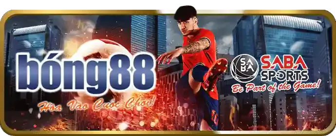 Tin Tức